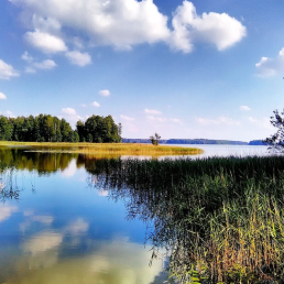 Mazury