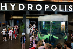 Hydropolis, fot. Sebastian Borowski