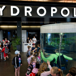 Hydropolis, fot. Sebastian Borowski