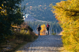 Jesień w Polsce, fot. Nocowanie.pl